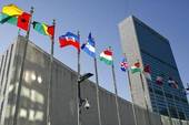 Le competenze delle Nazioni Unite