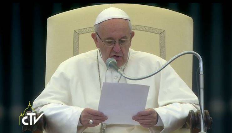 Il Papa: "spesso siamo attaccati a cani e gatti ma indifferenti alle persone"