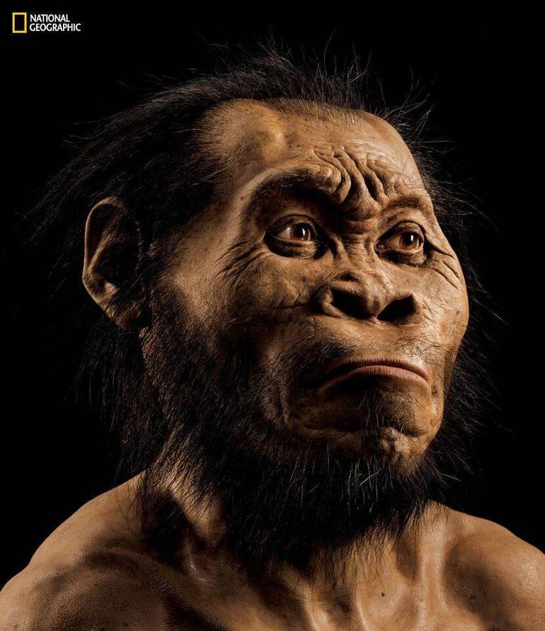 Scoperto l'Homo Naledi