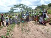 Kenya - L'impegno del missionario fidei donum don Battista Cimino