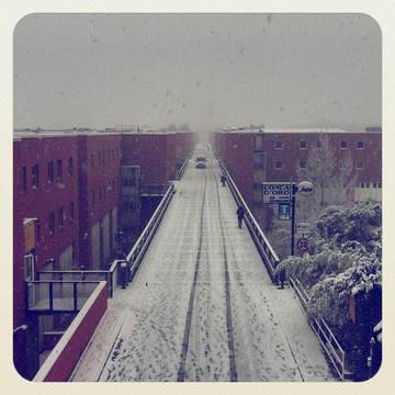 Università_neve